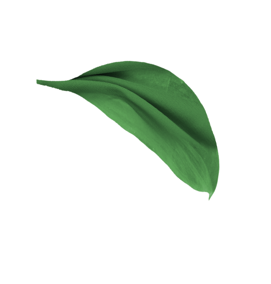green-leaf-eco-pro