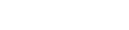 solapel logo