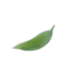 green-leafs3